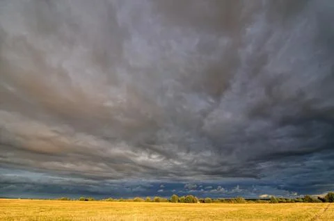 Clouds over the field. Stock Photos