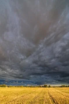 Clouds over the field. Stock Photos