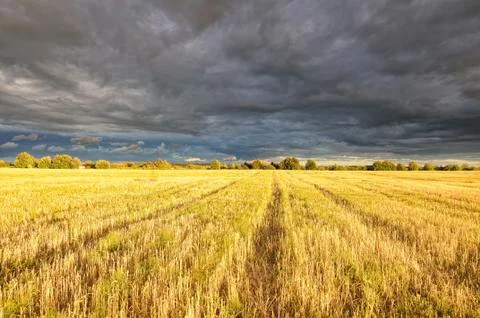 Clouds over the field. Stock Photos