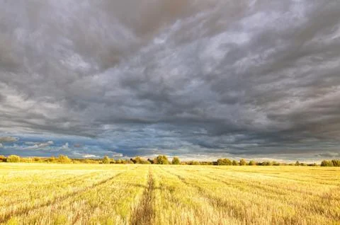 Clouds over the field. Stock Photos