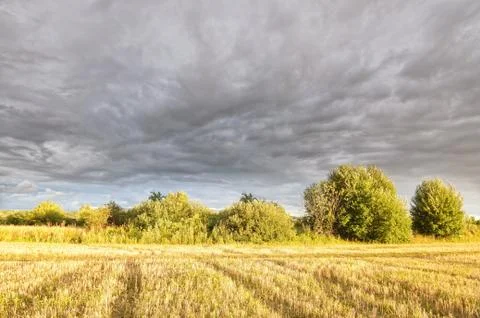 Clouds over the field. Stock Photos