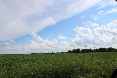 Clouds over a field Stock Photos