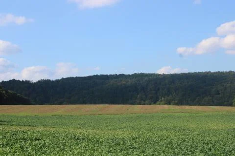 Clouds over a field Stock Photos