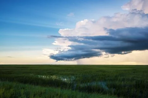 Clouds over the Field at Sunset Stock Photos