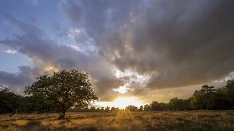 Clouds over a field with trees during golden hour Video stock 158479324