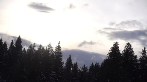 Clouds over fir trees forest in winter windy day Video stock 87912695