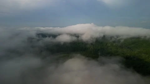 Clouds Over Forest from Above 2 Video stock 306222780