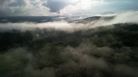 Clouds Over Forest from Above 3 Video stock 306223240