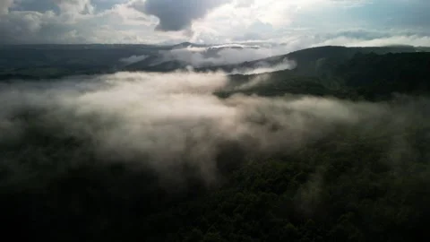 Clouds Over Forest from Above 4 Video stock 306227771