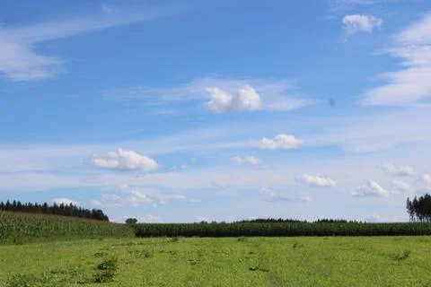 Clouds over a forest and cornfield. Stock Photos