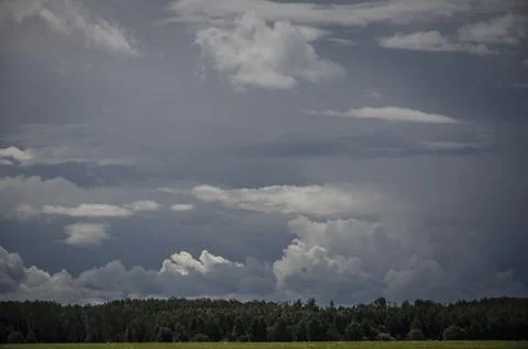 Clouds over the forest and meadow. Nature composition Stock Photos