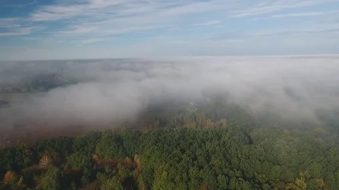 Clouds over a forest Stock Footage 71057211