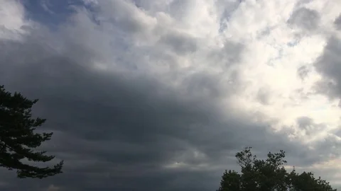 Clouds over the forest Stock Footage 82789449