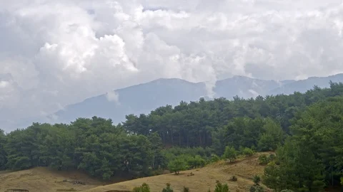 Clouds over the Forest Stock Footage 116661327