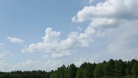 Clouds over the forest Stock Footage 122649192