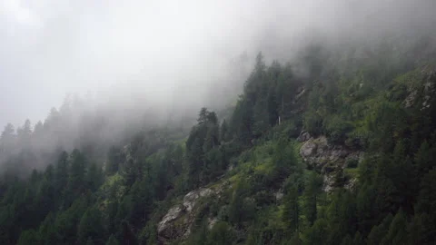 Clouds over the forest II Stock Footage 203996456