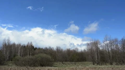 Clouds over the forest. Nature of Ukraine. 動画素材 152985630
