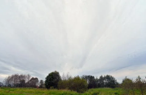Clouds over forest. Stock Photos