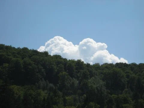 Clouds over the forest Stock Photos