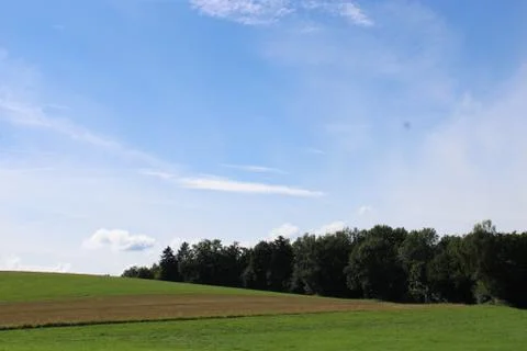 Clouds over a forest Stock Photos