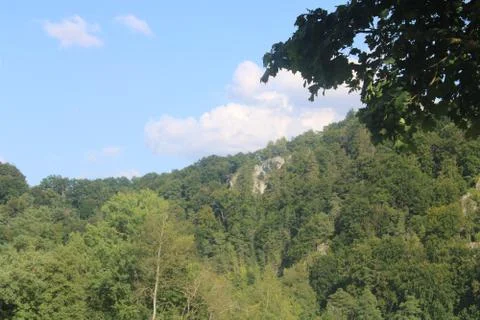 Clouds over a forest Stock Photos