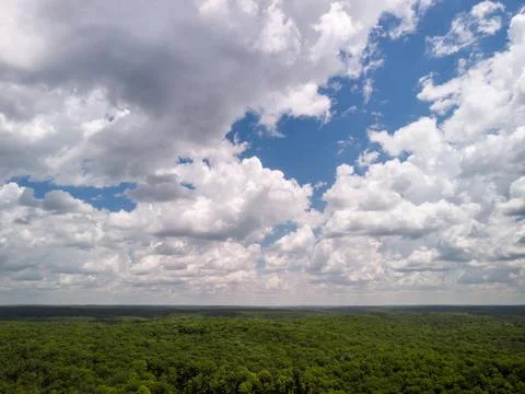 Clouds over a forest Stock Photos