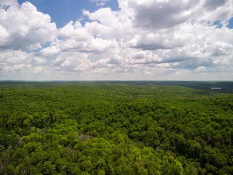 Clouds over a forest Stock Photos