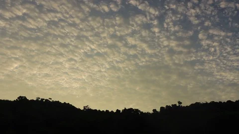 Clouds over forest at sunrise Stock Footage 128237791