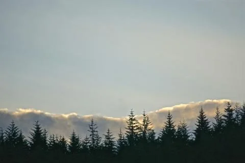 Clouds over a forest at sunset in the Highlands of Scotland. Foto stock