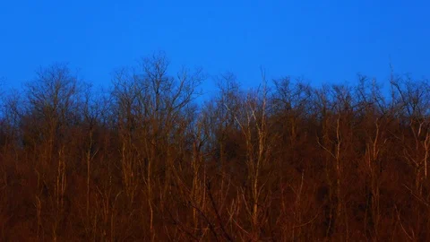 Clouds over a Forest - Time Lapse Stock Footage 126633684