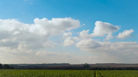 Clouds over green farm field with plants. Time lapse. Stock Footage 68979396