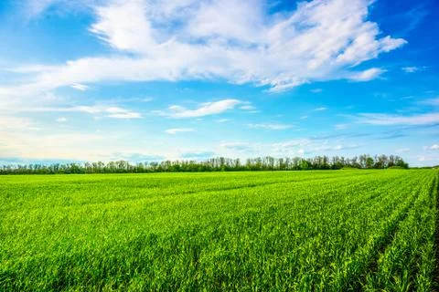 Clouds over green field Stock Photos