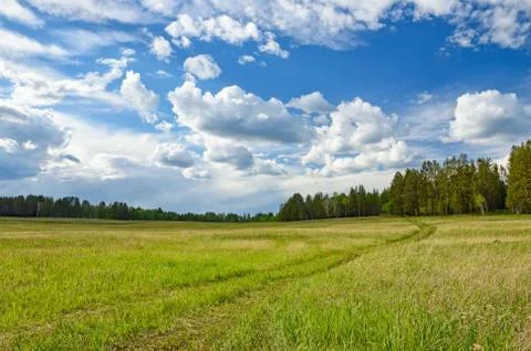 Clouds over a green meadow Foto stock