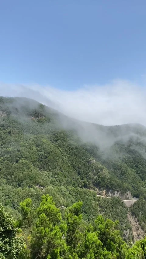 Clouds over green mountains in Anaga Rural Park in Tenerife Stock Footage 309673638