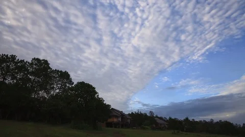 Clouds over the green tree at Tung Salang Luang National Park, timelapse 4k Stock Footage 77329284