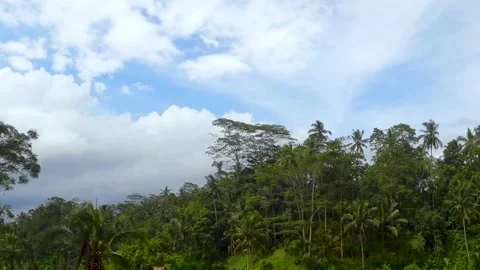 Clouds over the jungle time lapse Stock Footage 152784071