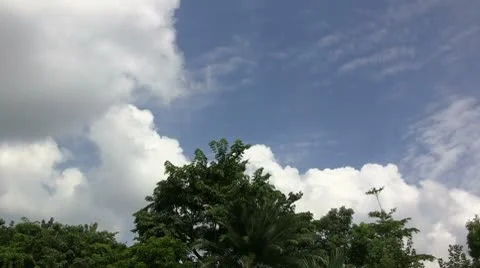 Clouds over jungle (timelapse) Stock Footage 8976330