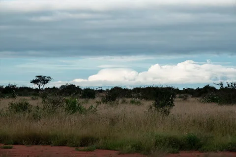 Clouds over Kilimanjaro Stock Footage 232806070