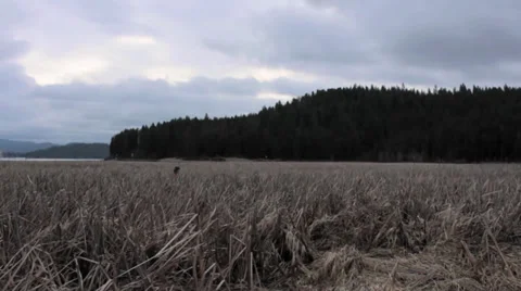 Clouds over Lake CDA 库存影片 32359586