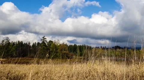 Clouds over the lake - Time Lapse Stock Footage 53767679