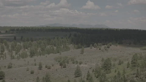 Clouds over mesa, with distant mountains, pine trees, Utah Video stock 164786808