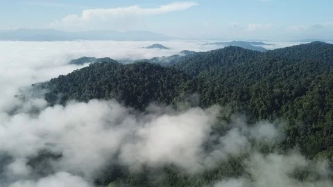 Clouds over mountain rainforest Vídeos de archivo 91609740