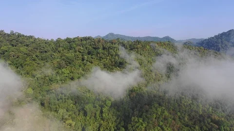 Clouds over mountain rainforest Stock Footage 102085299