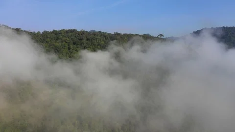 Clouds over mountain rainforest Video stock 102085384