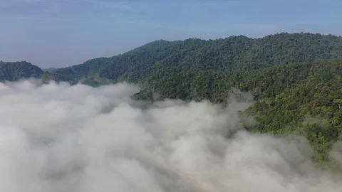 Clouds over mountain rainforest Видео 102086856
