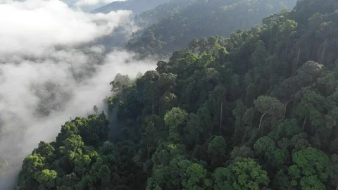 Clouds over mountain rainforest Vídeos de archivo 106109250