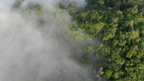 Clouds over mountain rainforest Vídeos de archivo 106175917