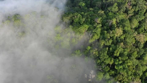 Clouds over mountain rainforest Vídeo Stock 106176209