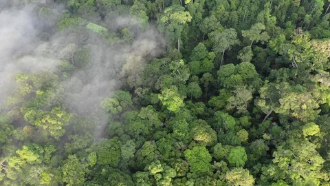 Clouds over mountain rainforest Stock Footage 106176936