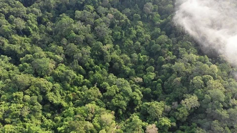 Clouds over mountain rainforest Vídeo Stock 106177439